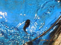 DSCN0017.JPG