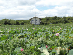 DSCN0025.JPG