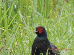 DSCN9976.JPG