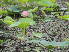 DSCN0003.JPG