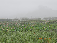 DSCN9991.JPG