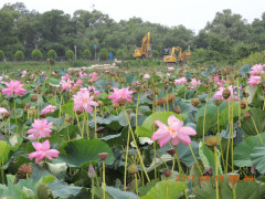 DSCN9990.JPG