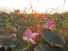 DSCN0001.JPG