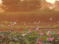 DSCN0004.JPG