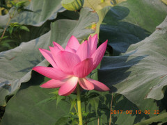 DSCN0024.JPG