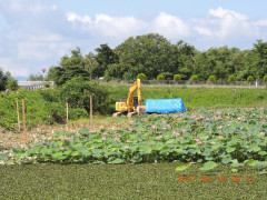 DSCN0038.JPG
