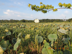 DSCN0022.JPG