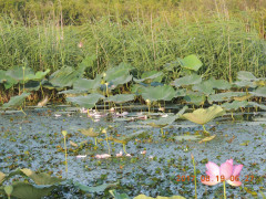 DSCN0031.JPG