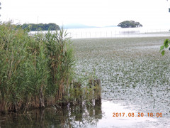 DSCN9970.JPG