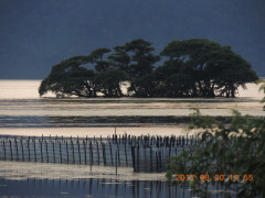 DSCN9964.JPG