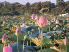 DSCN9983.JPG