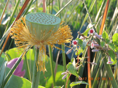DSCN9992.JPG