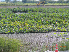 DSCN9979.JPG