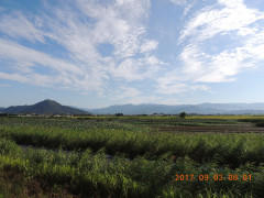 DSCN9977.JPG