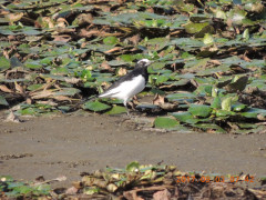 DSCN9976.JPG