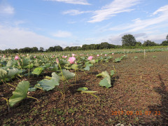 DSCN9972.JPG
