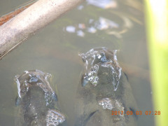 DSCN9966.JPG