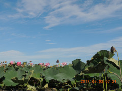 DSCN9960.JPG