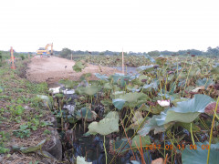 DSCN9976.JPG