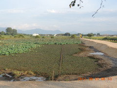 DSCN9989.JPG