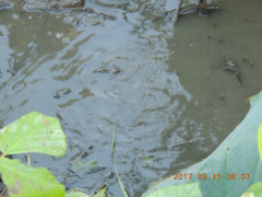 DSCN9973.JPG