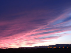 DSCN0007.JPG