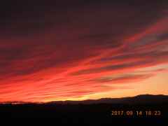 DSCN0008.JPG