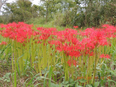 DSCN9989.JPG