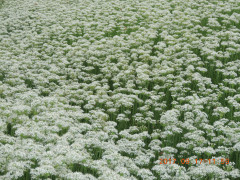 DSCN9978.JPG