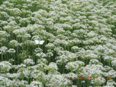 DSCN9972.JPG