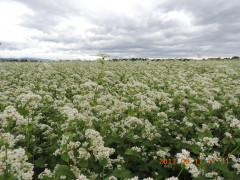 DSCN9995.JPG