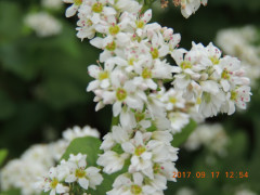 DSCN9998.JPG