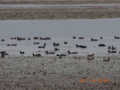 DSCN9960.JPG
