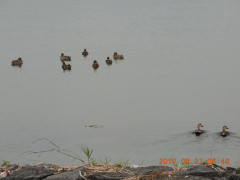 DSCN9962.JPG