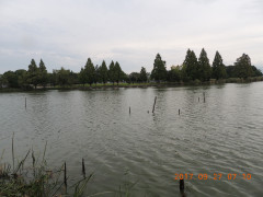 DSCN9969.JPG