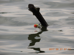 DSCN9971.JPG