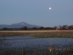 DSCN0006.JPG