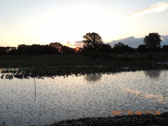 DSCN9987.JPG