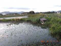 DSCN9990.JPG