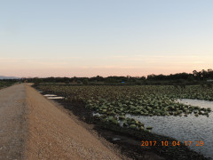 DSCN9991.JPG