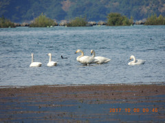 DSCN9982.JPG