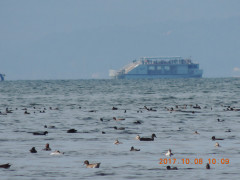 DSCN0005.JPG