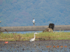 DSCN9989.JPG