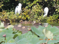 DSCN0015.JPG