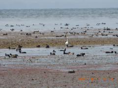 DSCN0016.JPG
