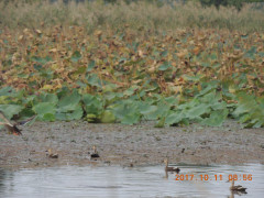 DSCN9965.JPG