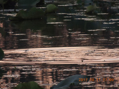 DSCN9982.JPG