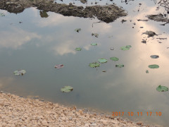 DSCN9983.JPG