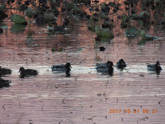 DSCN0001.JPG