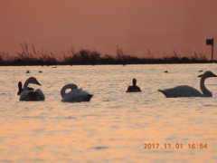 DSCN9962.JPG